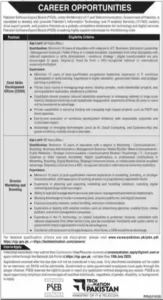 Pakistan Software Export Board Jobs 2026 Advertisement