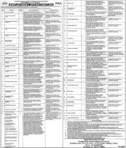 Punjab Public Private Partnership Authority (P4A) Jobs 2026 Advertisement