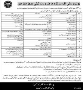 University of Sargodha Jobs 2026 Advertisement